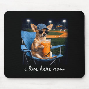 Chihuahua drink iced coffee baseball field live mouse pad