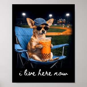 Chihuahua drink iced coffee baseball field live poster