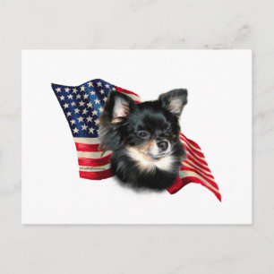 Chihuahua Flag Postcard