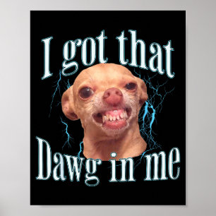 Chihuahua Funny Meme Poster