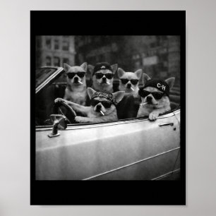 Chihuahua Gangster Dog Street Funny Chihuahua Smok Poster