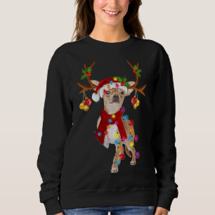 Chihuahua Gorgeous Reindeer Christmas Sweatshirt