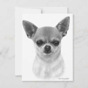 Chihuahua Hand Painted Artwork Pet Portrait Postcard
