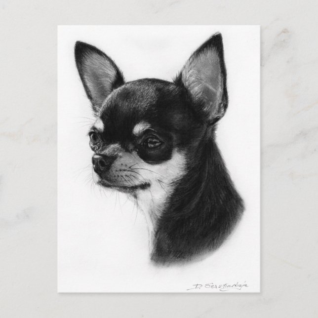 Chihuahua Hand Painted Artwork Postcard (Front)
