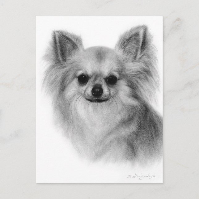 Chihuahua Hand Painted Pet Portrait Postcard (Front)