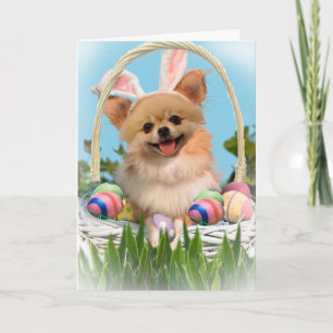Chihuahua Happy Easter Cards