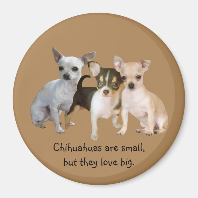 Chihuahua Happy Trio Magnet (Front)