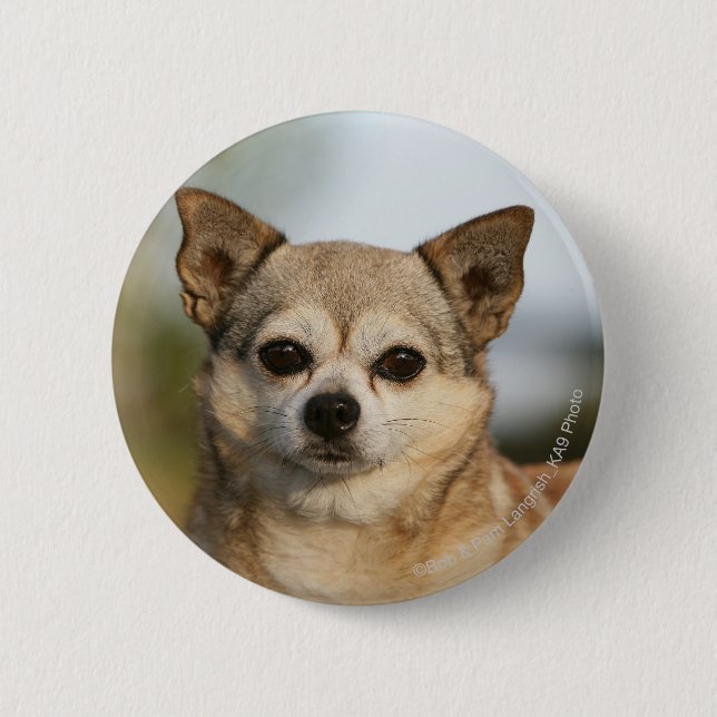 Chihuahua Headshot 6 Cm Round Badge (Front)