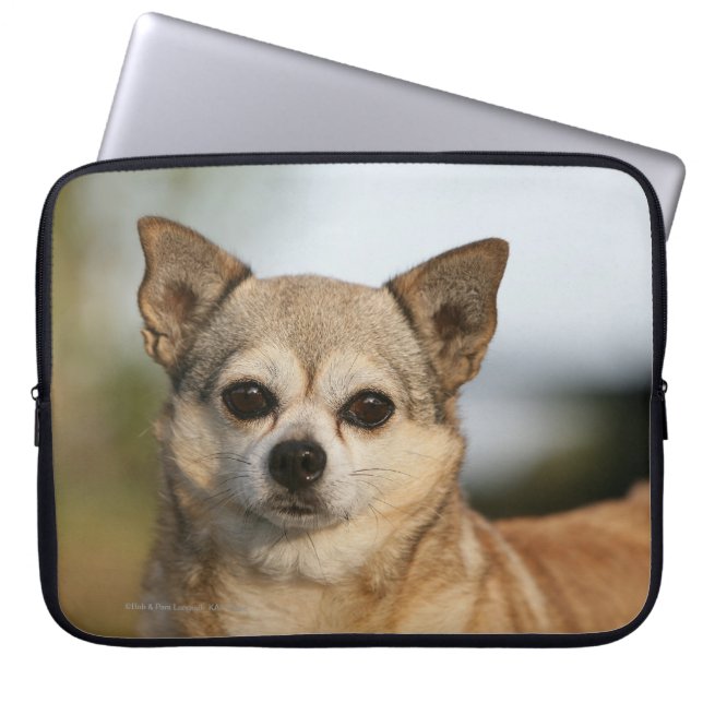 Chihuahua Headshot Laptop Sleeve (Front)