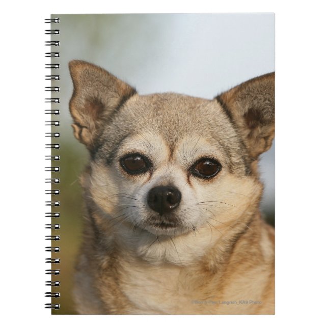 Chihuahua Headshot Notebook (Front)