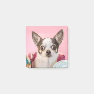 Chihuahua Hund auf rosa Post-it Notes