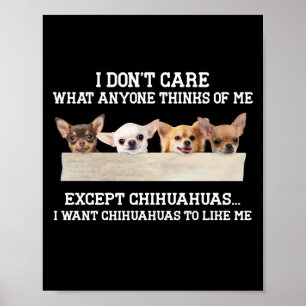 Chihuahua I Don't Care What Anyone Thinks Of Me Poster