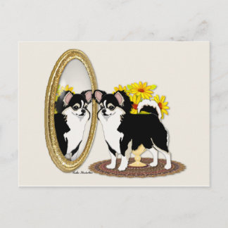 Chihuahua In A Mirror Postcard