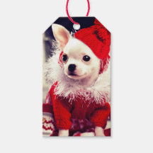 CHIHUAHUA IN A Santa hat Gift Tag