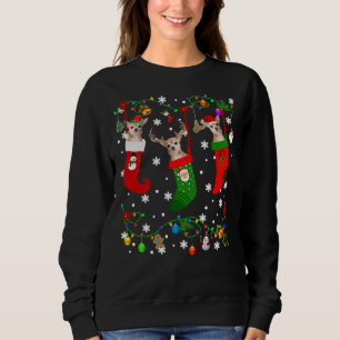 Chihuahua In Christmas Socks Reindeer Santa Chihua Sweatshirt