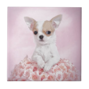 Chihuahua in pink with roses ceramic tile