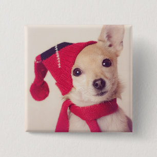 Chihuahua In Winter Cap 15 Cm Square Badge