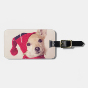 Chihuahua In Winter Cap Luggage Tag