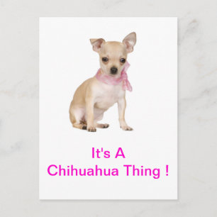 Chihuahua It's A Chihuahua Thing Postcard