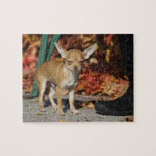 Chihuahua Jigsaw Puzzle