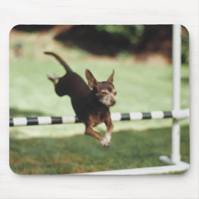 Chihuahua Jumping Hurdle Mouse Pad (Front)