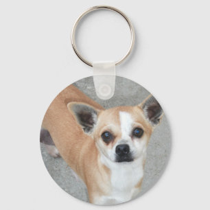 CHIHUAHUA KEY RING