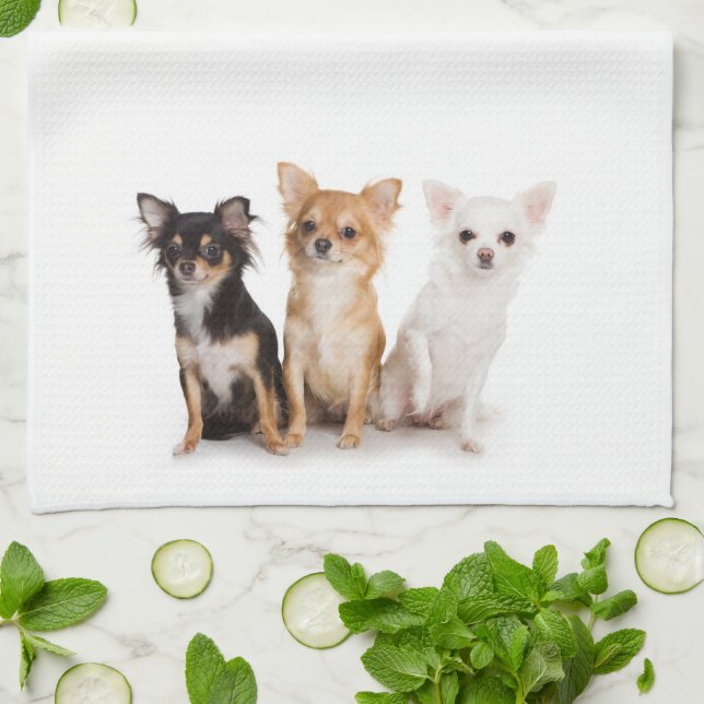 Chihuahua Kitchen Towel (Folded)