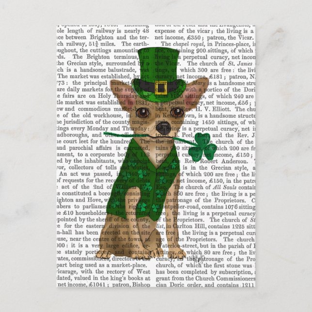 Chihuahua Leprechaun Postcard (Front)