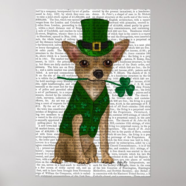 Chihuahua Leprechaun Poster (Front)