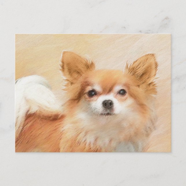 Chihuahua Long-Haired Dog Painting Original Art Postcard (Front)