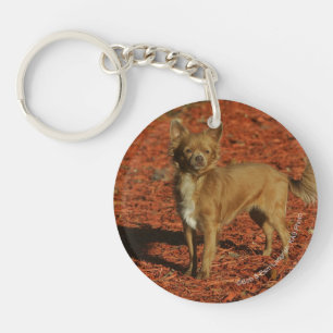 Chihuahua Looking at Camera Key Ring