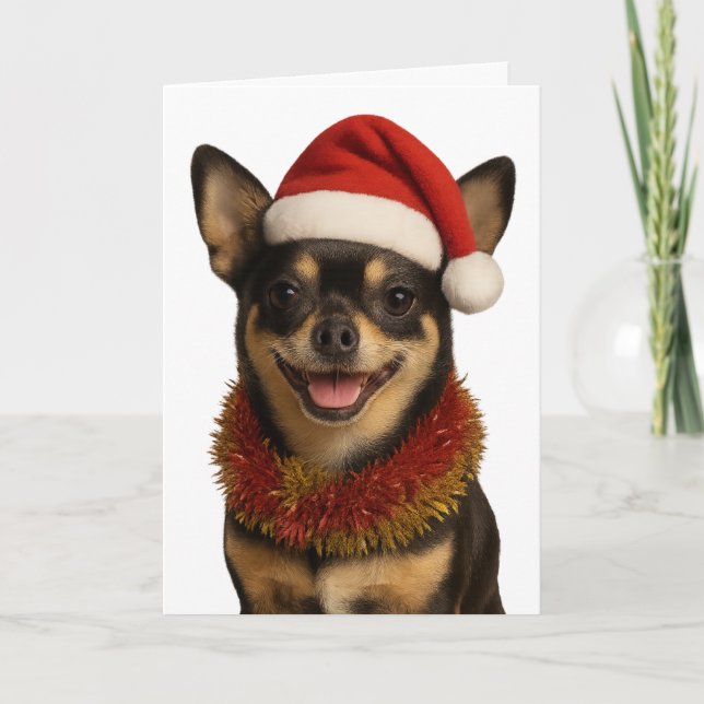 Chihuahua looking cheeky Santa hat Christmas card (Front)