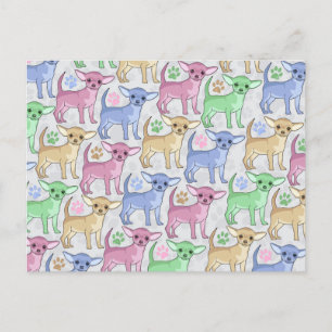 Chihuahua Lover Colourful Pattern Postcard