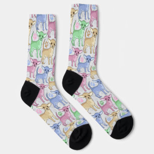 Chihuahua Lover Colourful Socks