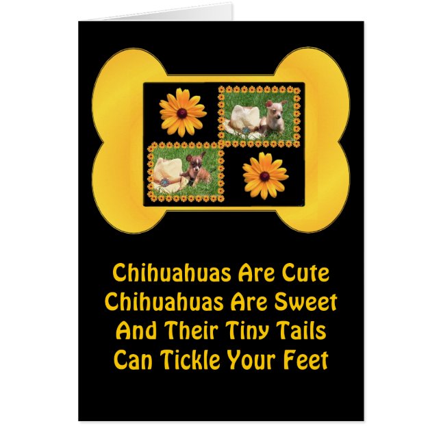 Chihuahua Lover Delight (Front)