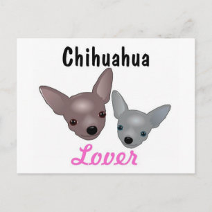 Chihuahua Lover Post Card