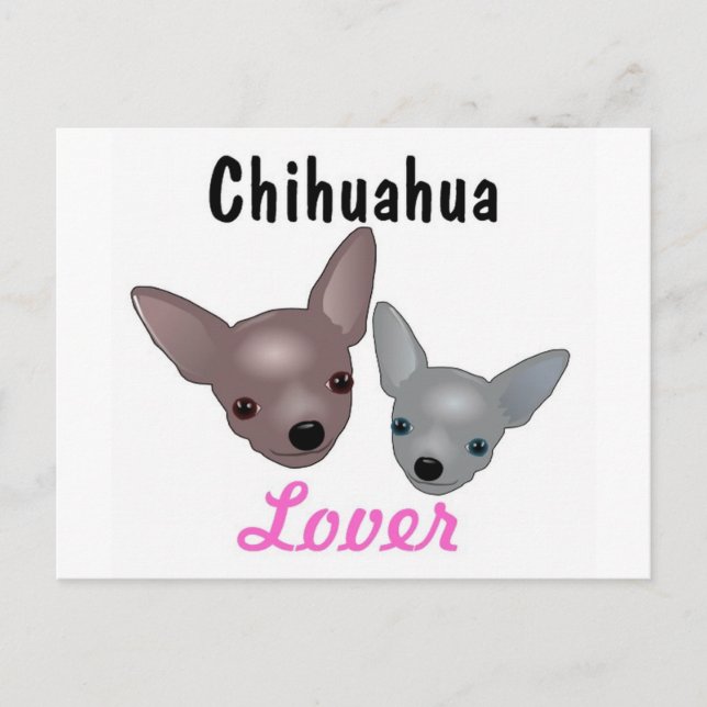 Chihuahua Lover Post Card (Front)