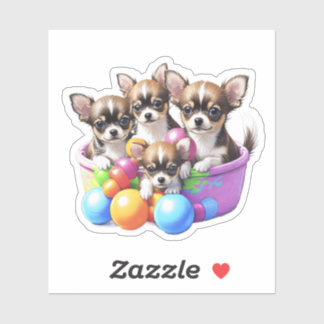 Chihuahua lustige Welpen