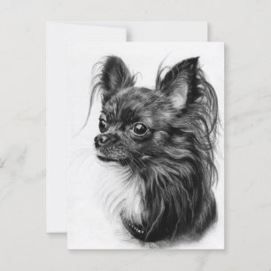 Chihuahua Majesty - Hand Painted with Fine Detail Postcard