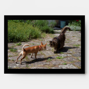 Chihuahua Meets Cat Envelopes