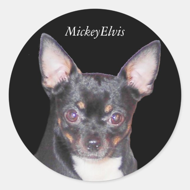 Chihuahua MickeyElvis Sticker (Front)