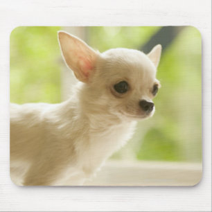 Chihuahua Mouse Pad