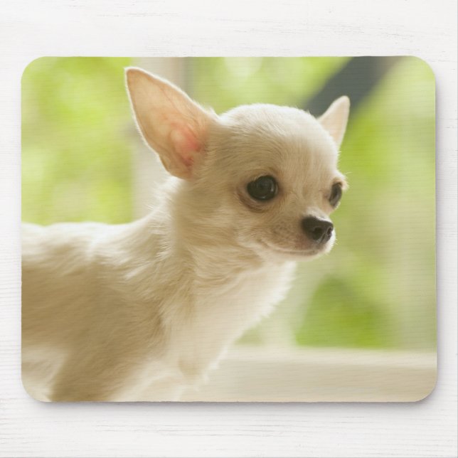 Chihuahua Mouse Pad (Front)