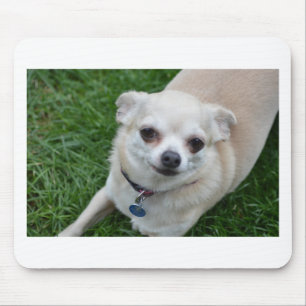 Chihuahua Mouse Pad