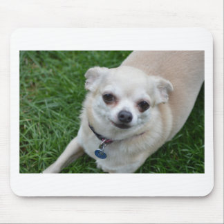 Chihuahua Mouse Pad