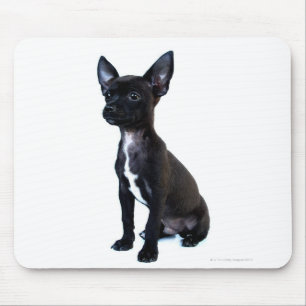 Chihuahua Mouse Pad