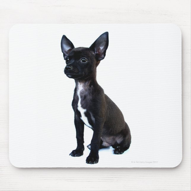 Chihuahua Mouse Pad (Front)
