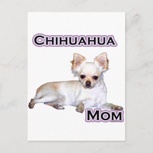 Chihuahua Mum 4 Postcard (Front)
