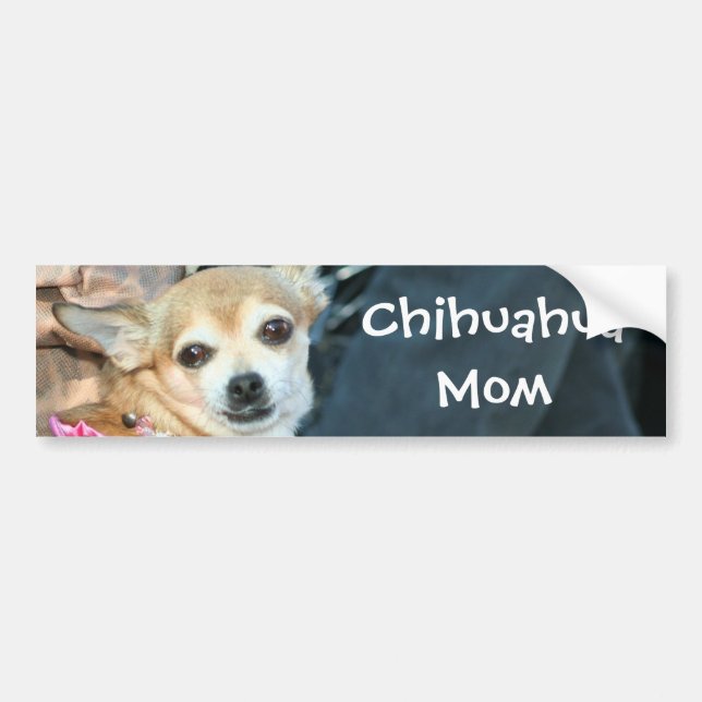 Chihuahua Mum Bumper sticker (Front)