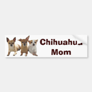 Chihuahua Mum Bumper Sticker